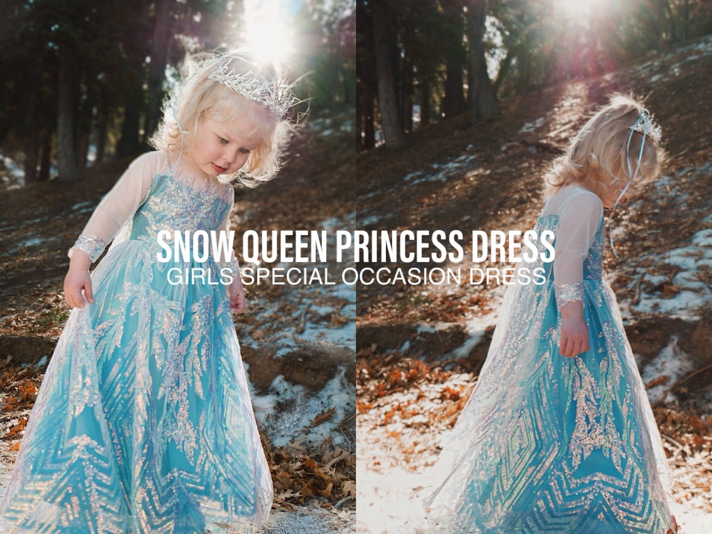 Fairytale Frock: Snow Queen Princess Gown